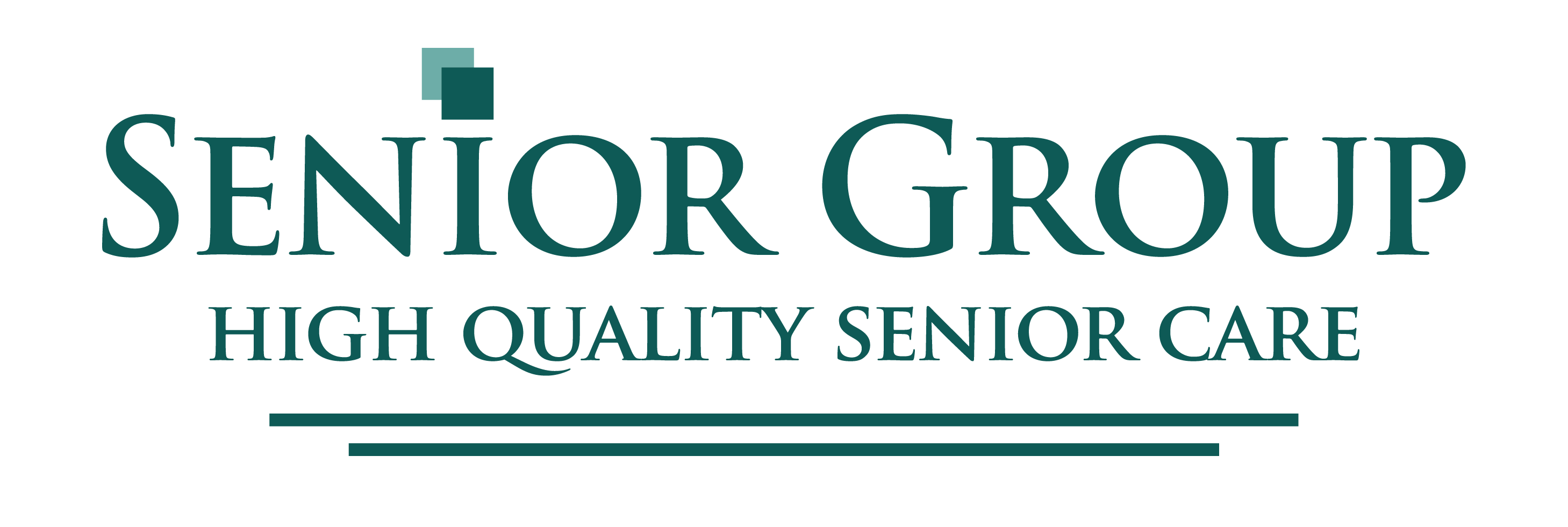 Senior Group logo